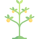 Plant icon