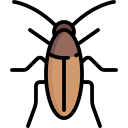 Cucaracha icon