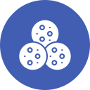 galletas icon