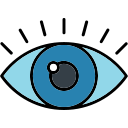 ojo icon