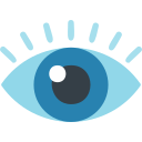 ojo icon