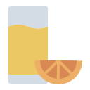 vitamina c icon