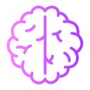 cerebro humano icon