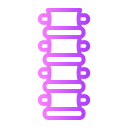 columna vertebral icon