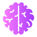 cerebro humano