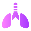 pulmones icon