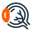 ojo icon