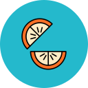 rodaja de naranja icon