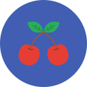 cerezas icon