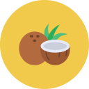 coco icon