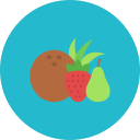 frutas icon