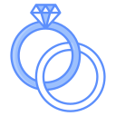 anillo icon