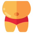 obesidade 
