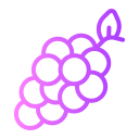 uvas icon