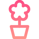 pot 