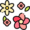 sakura icon