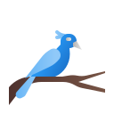 pájaro icon