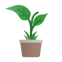 planta icon