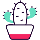 cactus icon