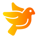 Dove 