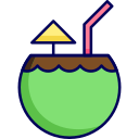 agua de coco icon