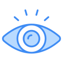 ojo icon