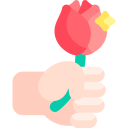 rosa icon