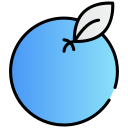 naranja icon