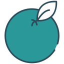 naranja icon