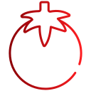 tomate icon