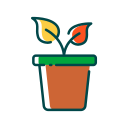 Plantar