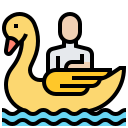 Barco cisne 