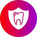 blindaje icon