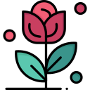 Rosa icon