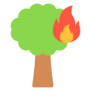 incendio forestal icon