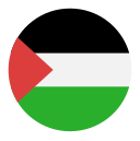 palestina icon