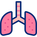 enfermedad pulmonar icon