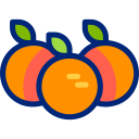 naranjas animated icon