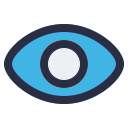 ojo icon