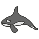 orca icon