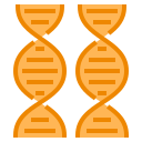 Dna