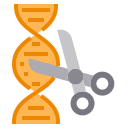 Dna icon