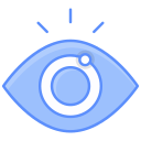 ojo icon