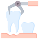 extracción dental icon