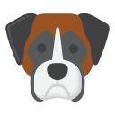 boxer icon