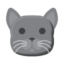 gato británico de pelo corto icon