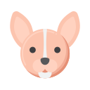 chihuahua icon