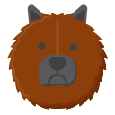 chow chow icon