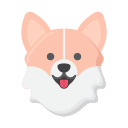 corgi 