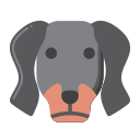 perro tejonero icon